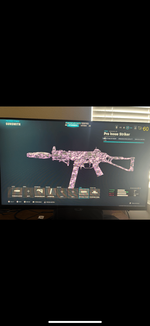 BlkWidow312213 Call of Duty: Warzone Striker Build