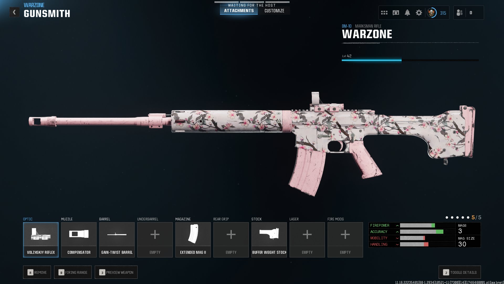 onetwoDom Call of Duty: Warzone DM-10 Build