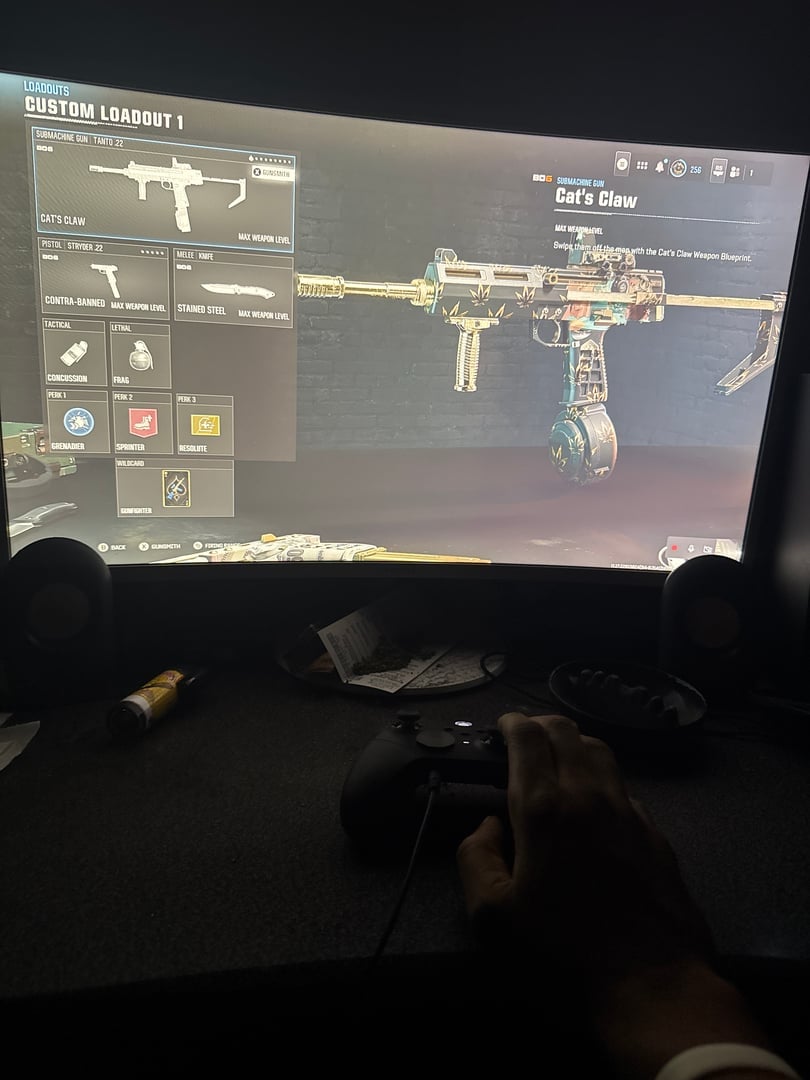 Call of Duty: Warzone Tanto .22