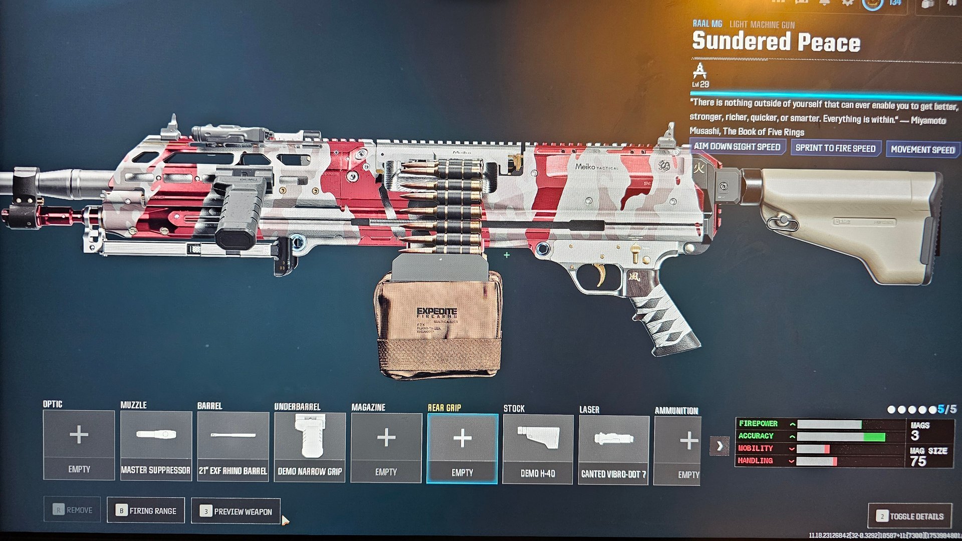 Call of Duty: Warzone RAAL MG