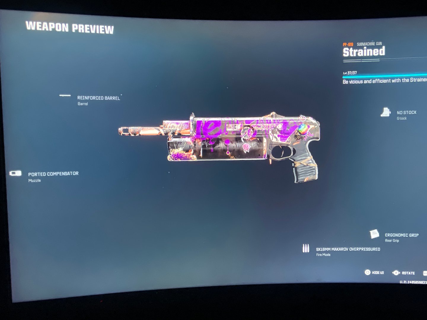 ZeeSpriteLee Call of Duty: Black Ops 6 PP-919 Build
