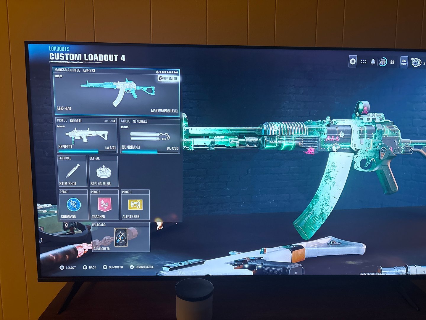 Call of Duty: Warzone AEK-973