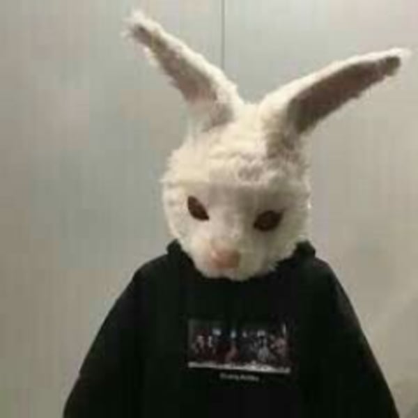 ramzesiowz twitch Avatar